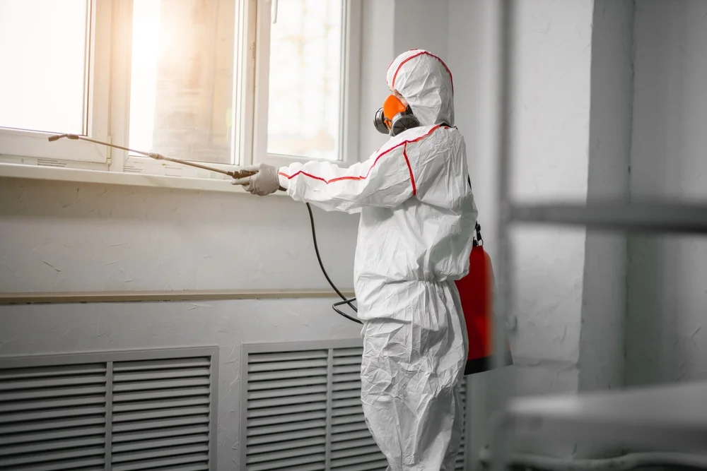 Professional mold remediation services in Dauphin Island, AL